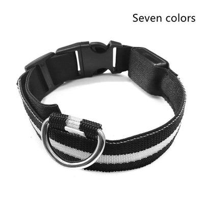 LED Light-Up Dog Safety Collar