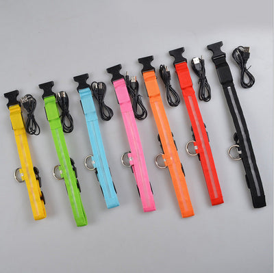 LED Light-Up Dog Safety Collar