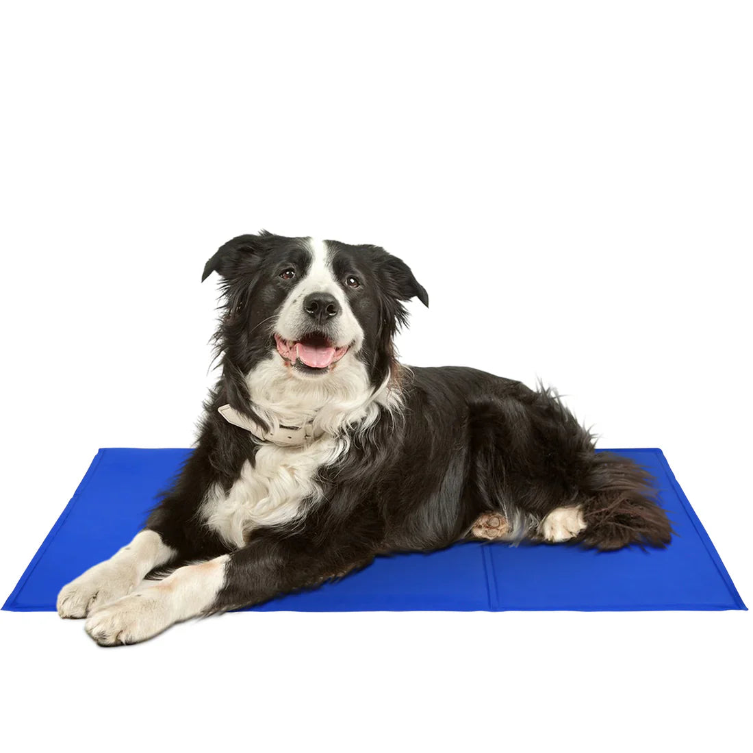 Cooling Mats for Pets