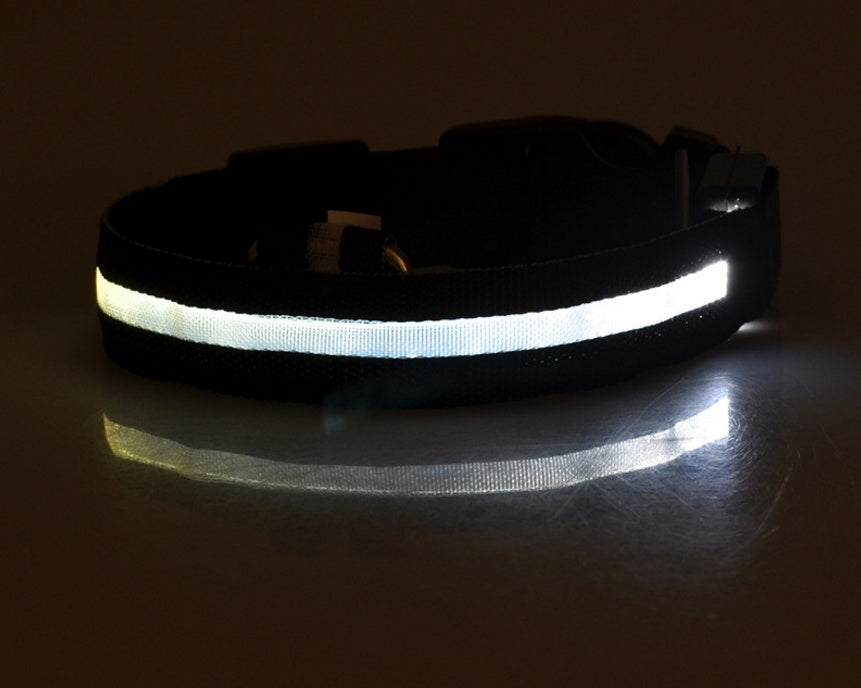 LED Light-Up Dog Safety Collar
