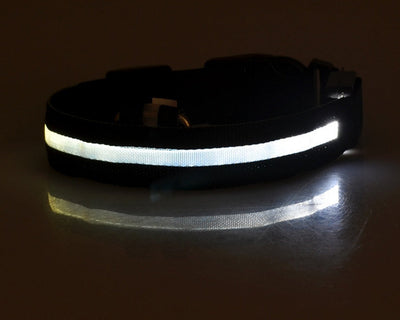 LED Light-Up Dog Safety Collar