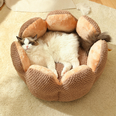 Cactus Bed