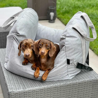 Luxurious Dog Car Bed
