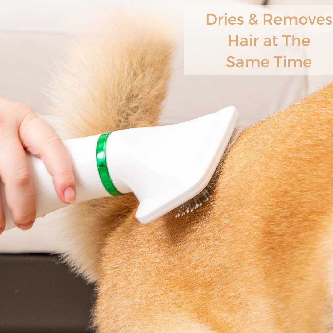 Furrific Dog Hair Dryer