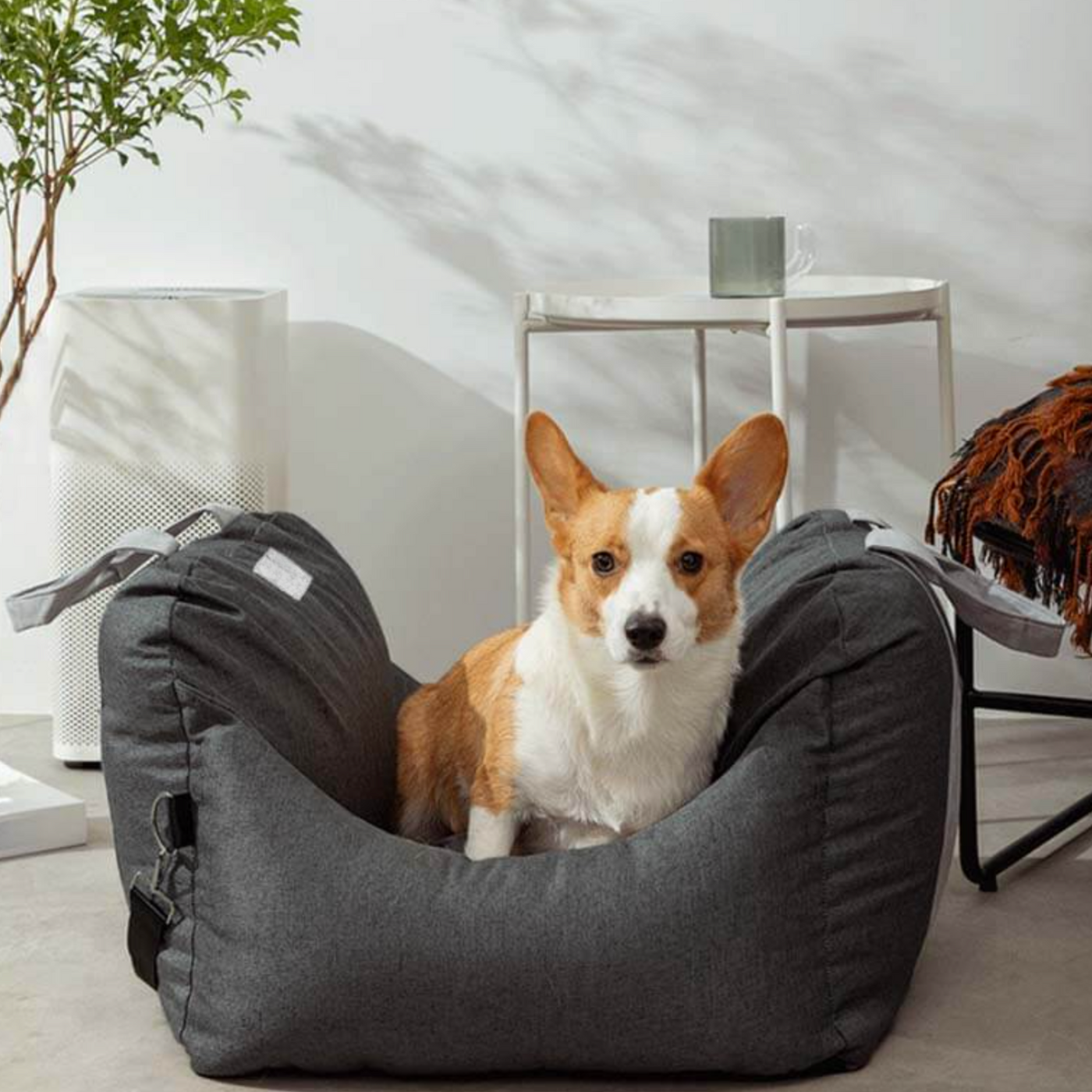 Luxurious Dog Car Bed