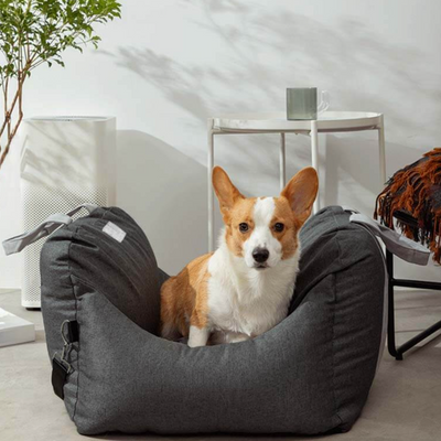 Luxurious Dog Car Bed