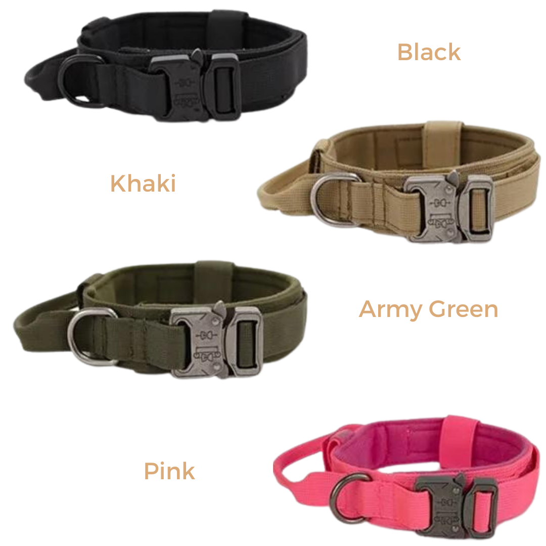 Heavy-Duty Tactical Dog Collar