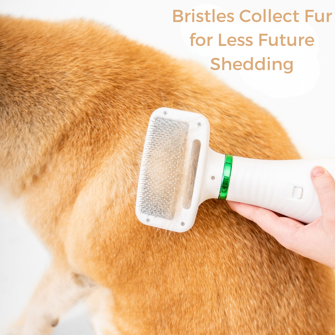 Furrific Dog Hair Dryer