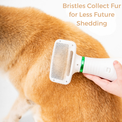 Furrific Dog Hair Dryer