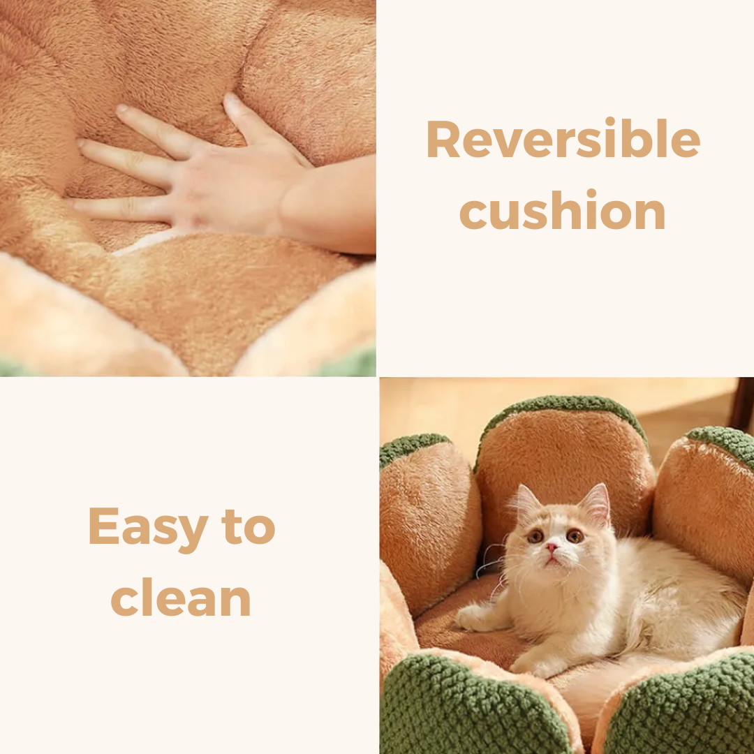 Cactus Bed