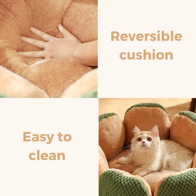 Cactus Bed