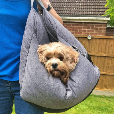 Luxurious Dog Car Bed