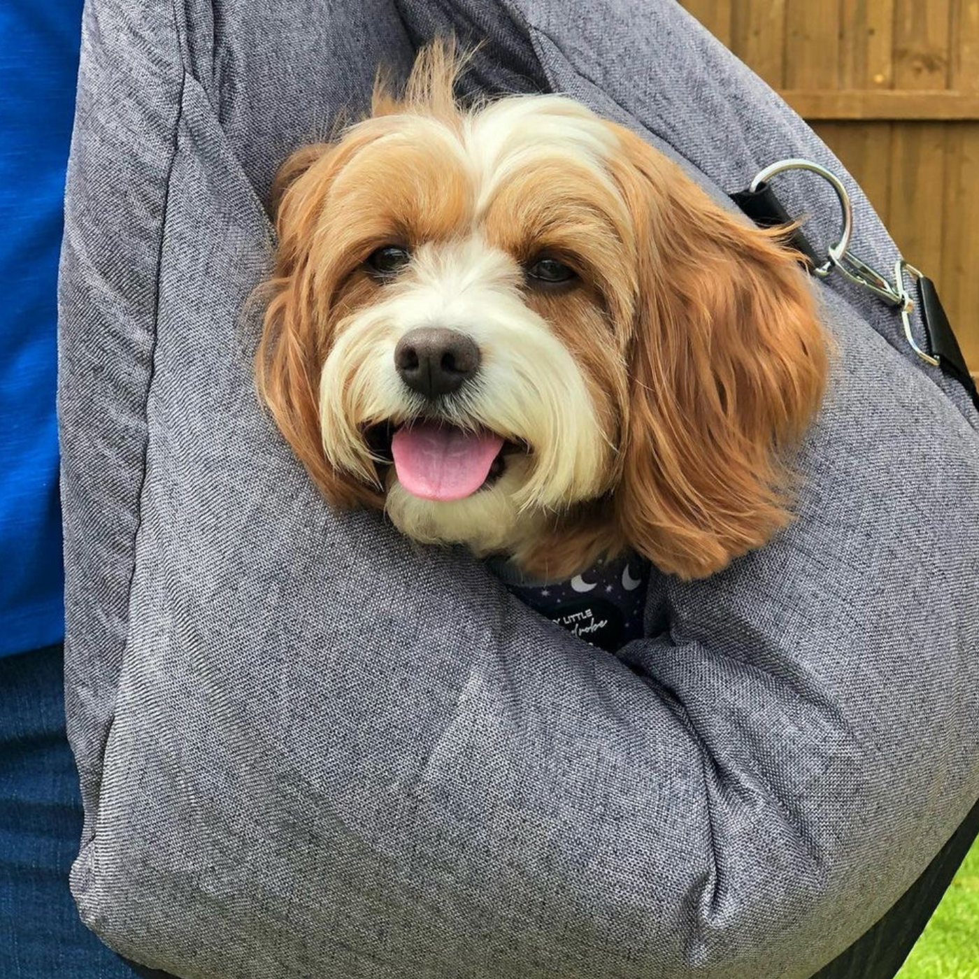 Luxurious Dog Car Bed