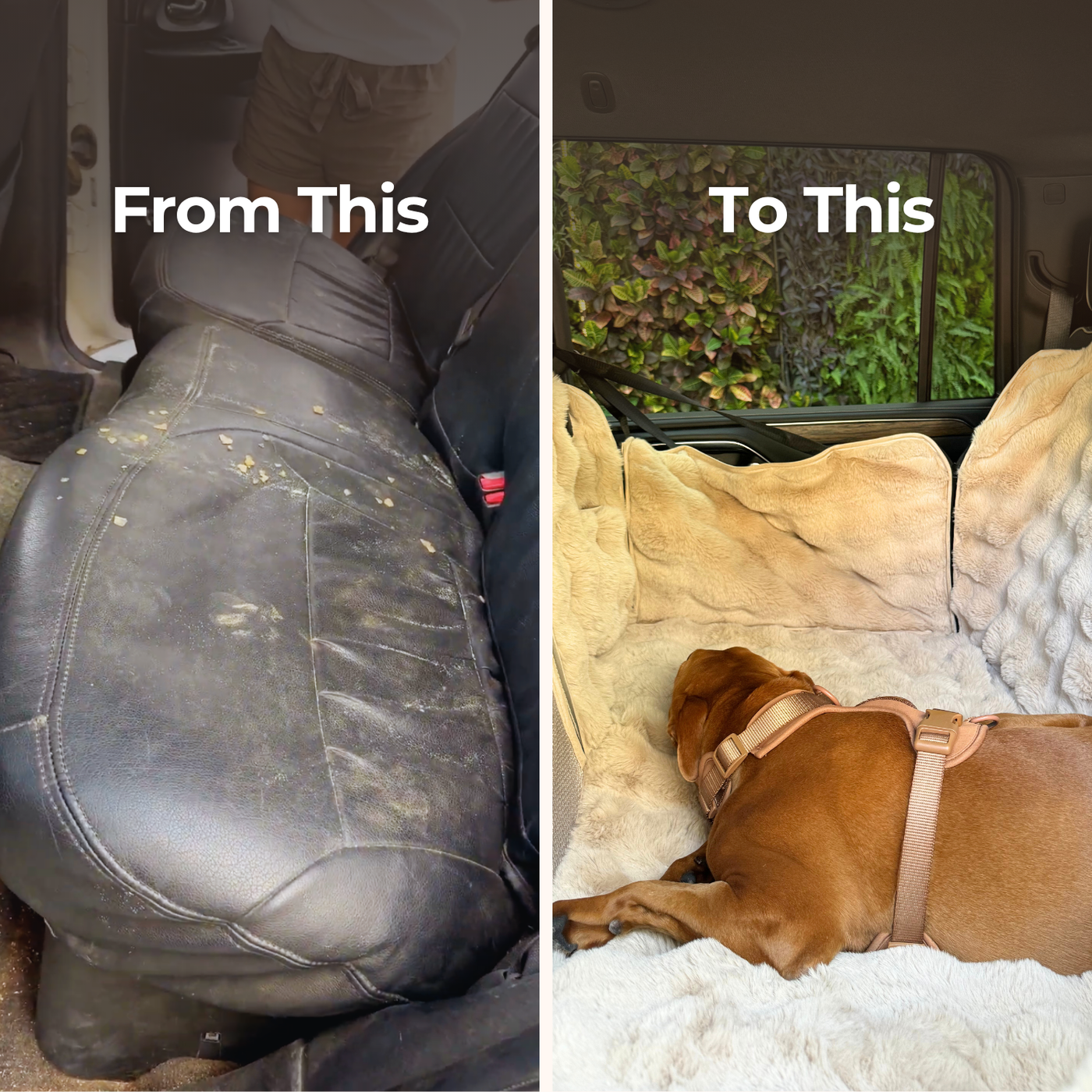 Luxurious Full Backseat Protector + Free Blue Cooling Mat