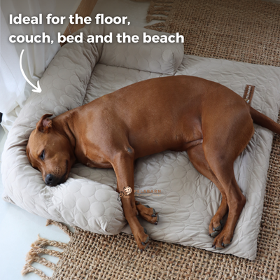 Pelsbarn Cooling Bed (4x more effective) + FREE Cooling Mat