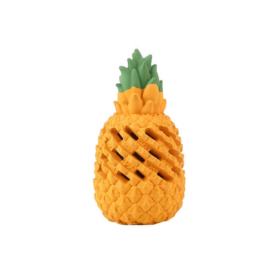 Fruit Dog Teether