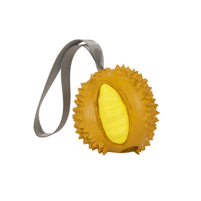 Fruit Dog Teether