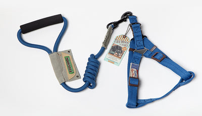 Dog Leash, Leash, Vest, Chest And Back, Small Dog Method, Fight, Dog Leash, Large Dog