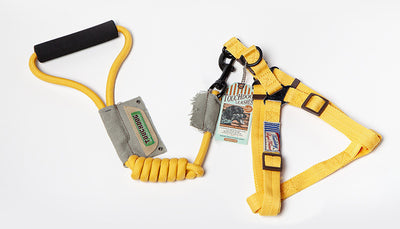 Dog Leash, Leash, Vest, Chest And Back, Small Dog Method, Fight, Dog Leash, Large Dog