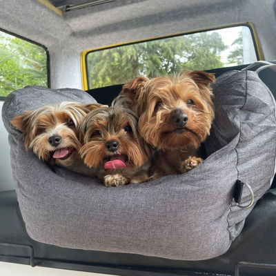 Luxurious Dog Car Bed