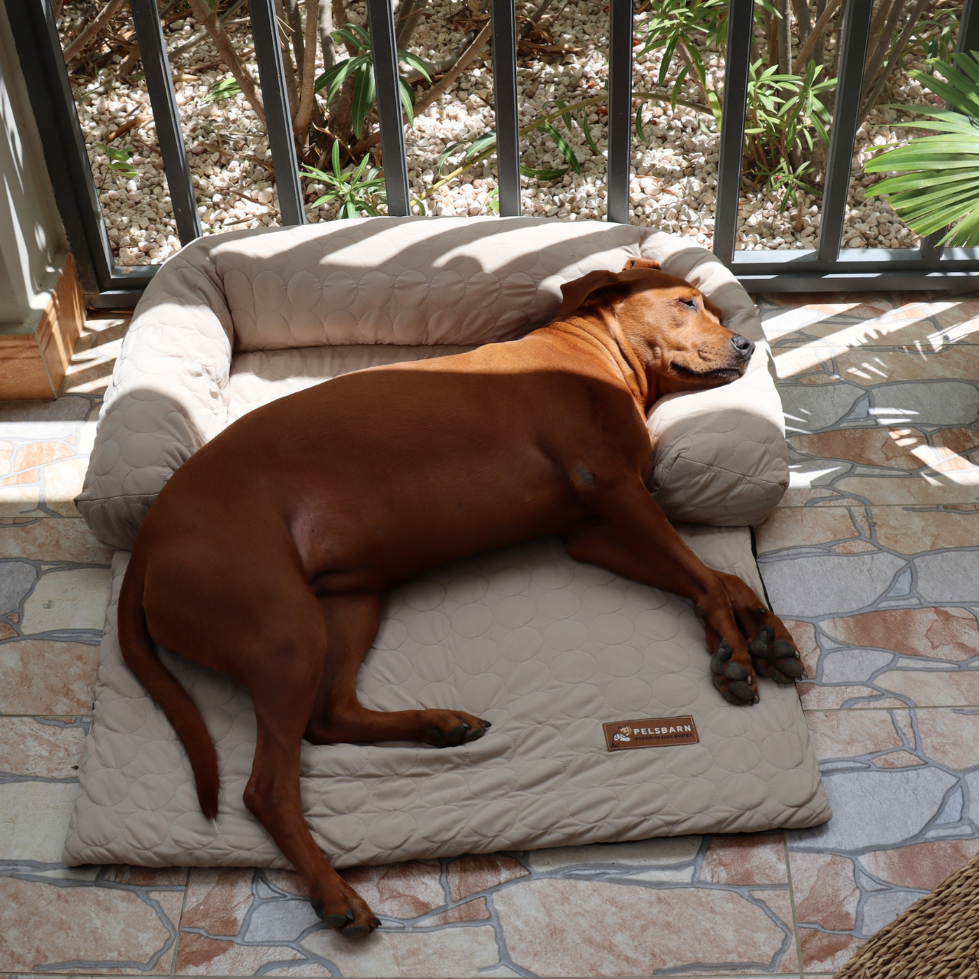 Pelsbarn Cooling Bed (4x more effective) + FREE Cooling Mat