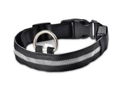 LED Light-Up Dog Safety Collar