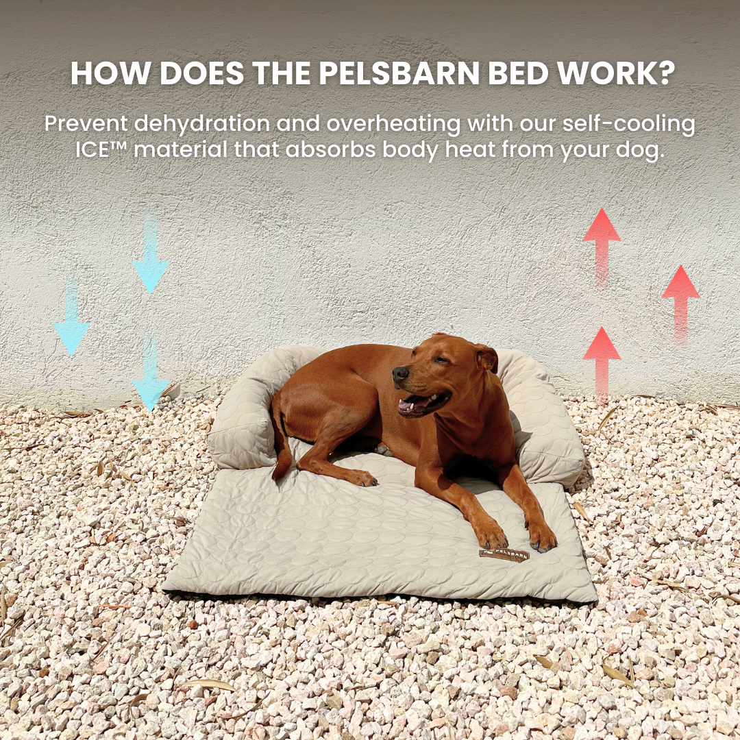 Pelsbarn Cooling Bed (4x more effective)