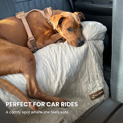Pelsbarn Cooling Bed (4x more effective) + FREE Cooling Mat