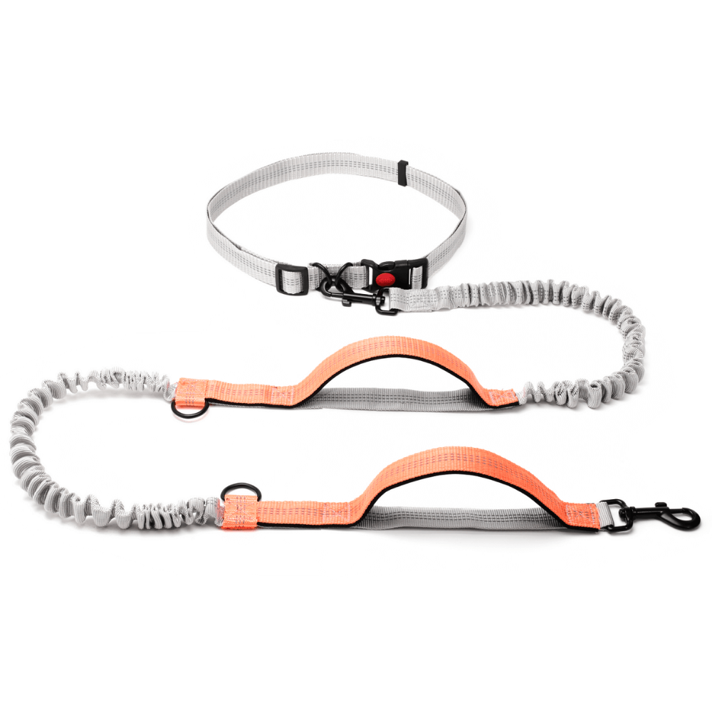 Hands Free Dog Leash