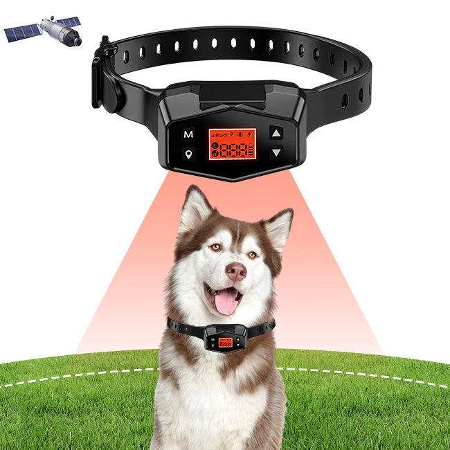 PetHey GPS Wireless Dog Fence F800