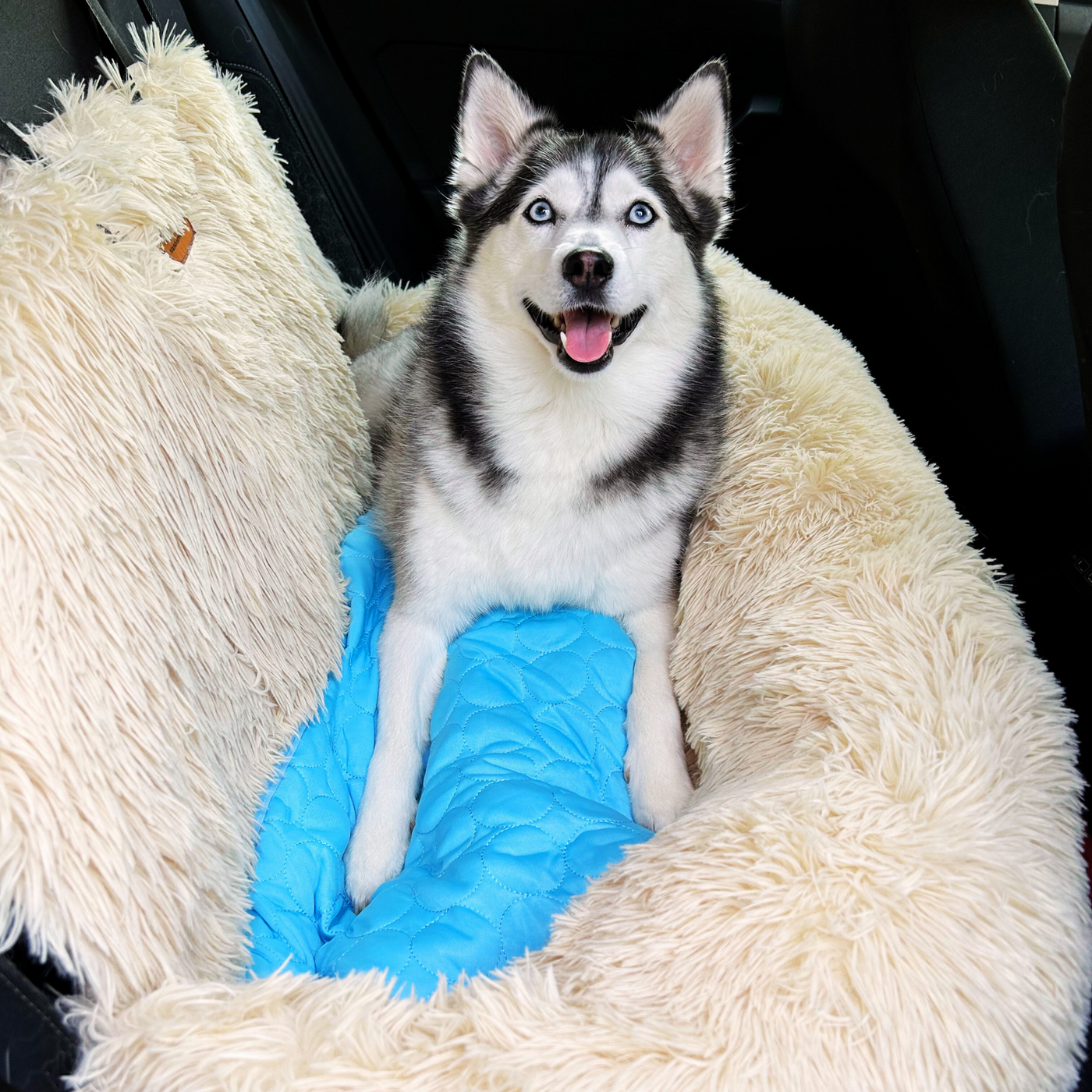 Pelsbarn Protecting Car Bed + Free Mat