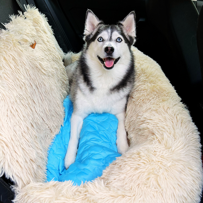 Pelsbarn Protecting Car Bed + Free Mat