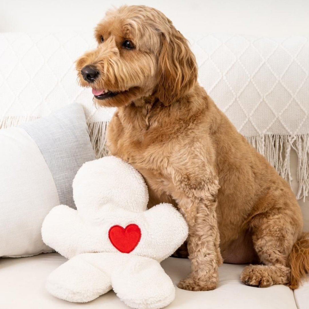 The ''I miss you'' Cozy Companion