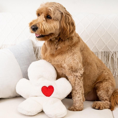 The ''I miss you'' Cozy Companion