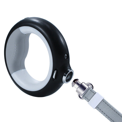 Luminous Light Dog Leash