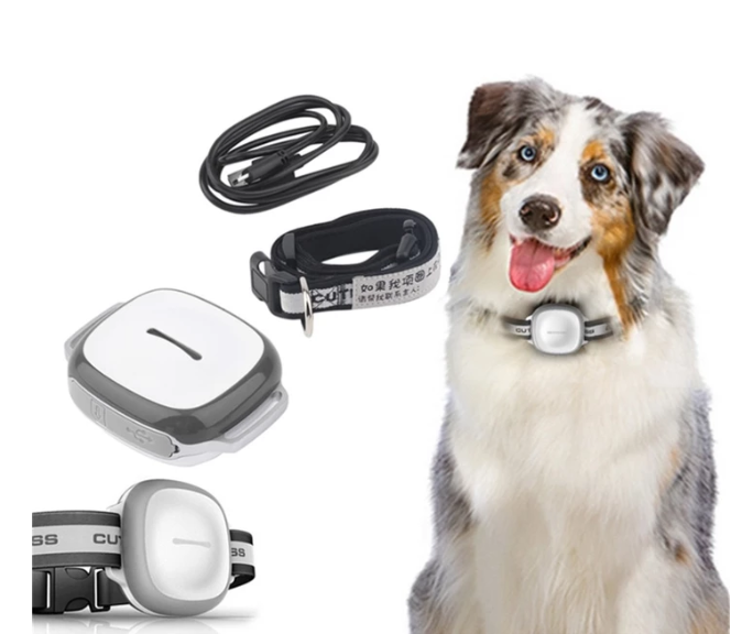 Pet Locating Device