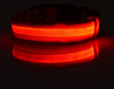 LED Light-Up Dog Safety Collar