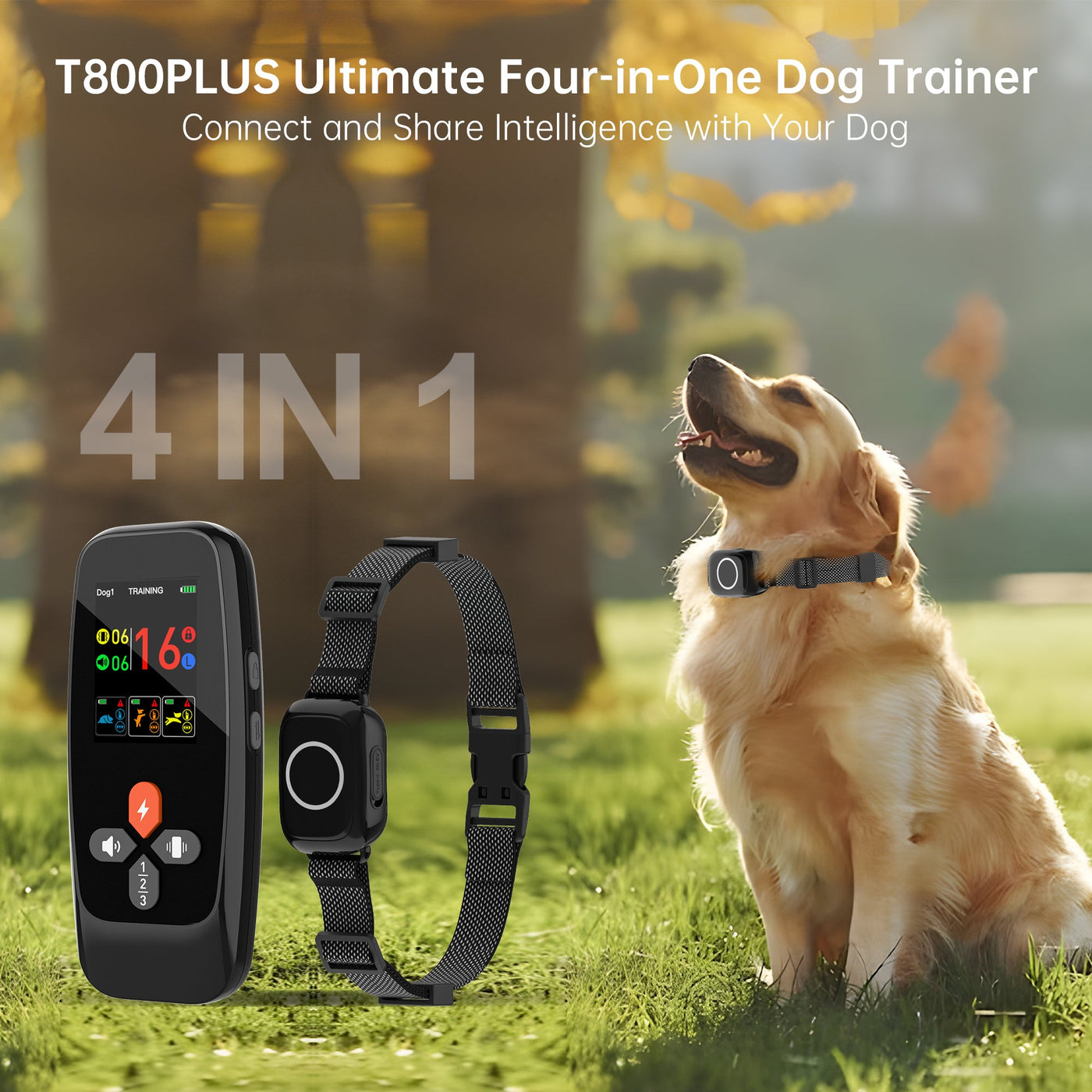 PetHey 4-in-1 Remote Dog Training Collar T800Plus