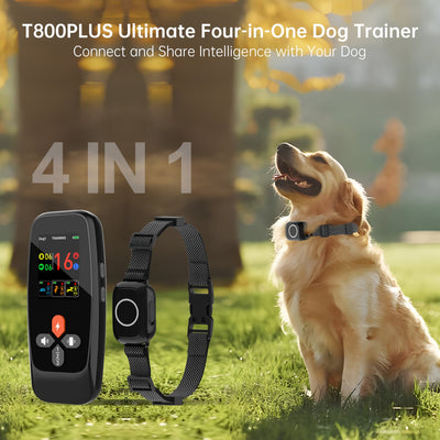 PetHey 4-in-1 Remote Dog Training Collar T800Plus