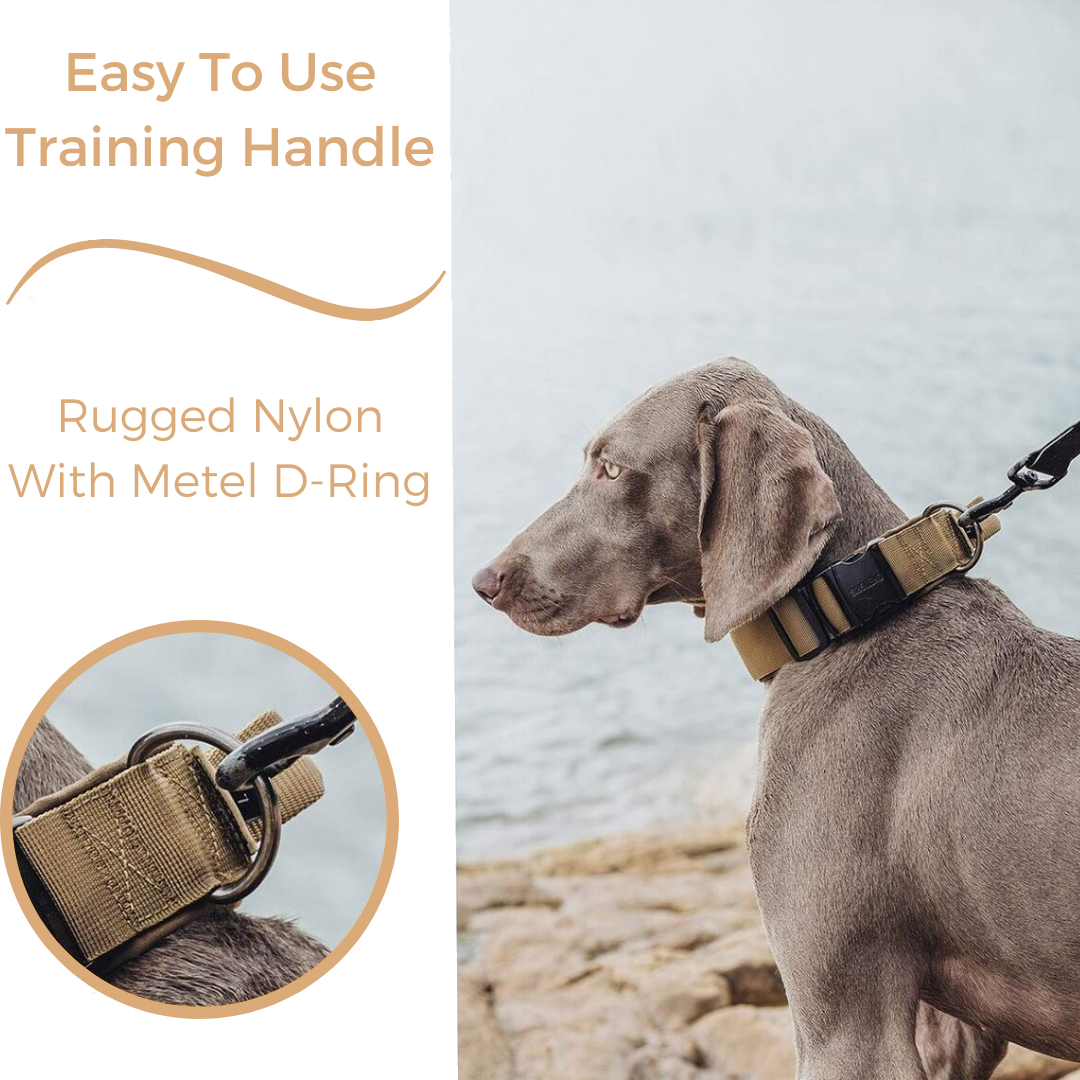Heavy-Duty Tactical Dog Collar