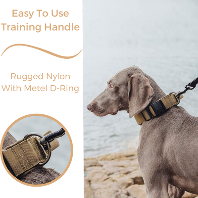 Heavy-Duty Tactical Dog Collar