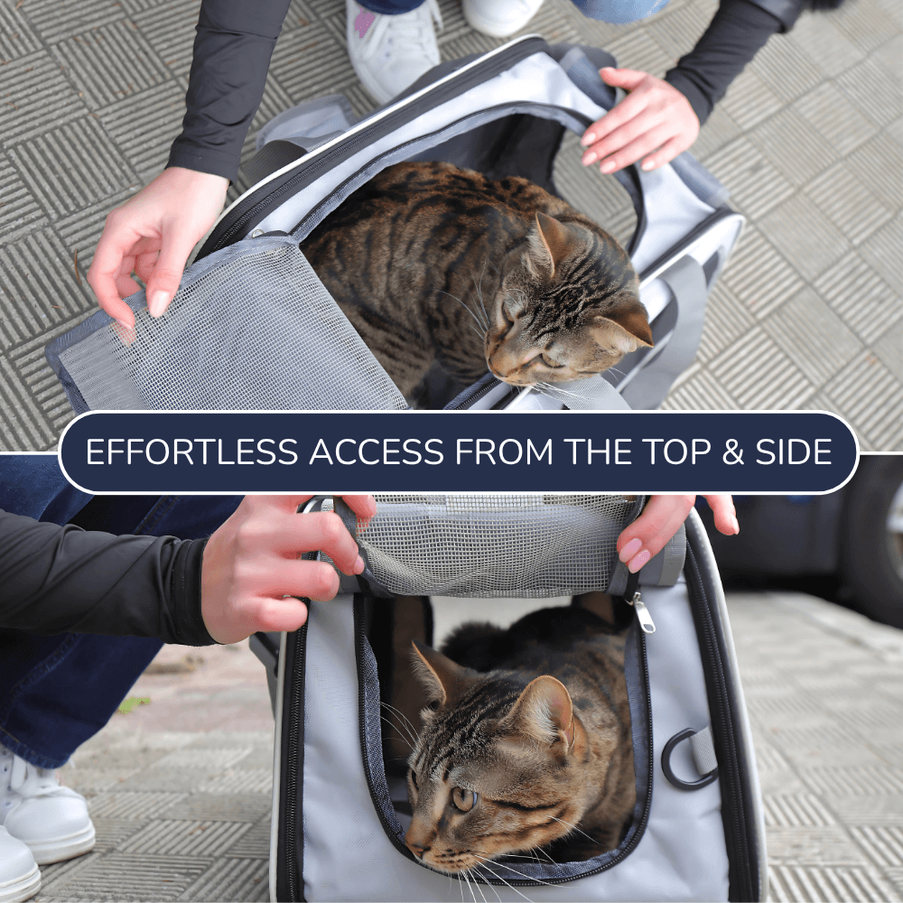 Cat Carrier
