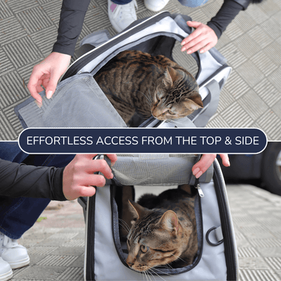 Cat Carrier