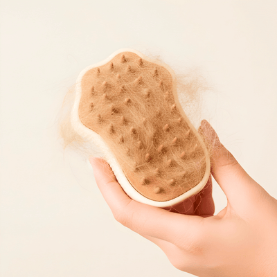 Pet Steam Brush