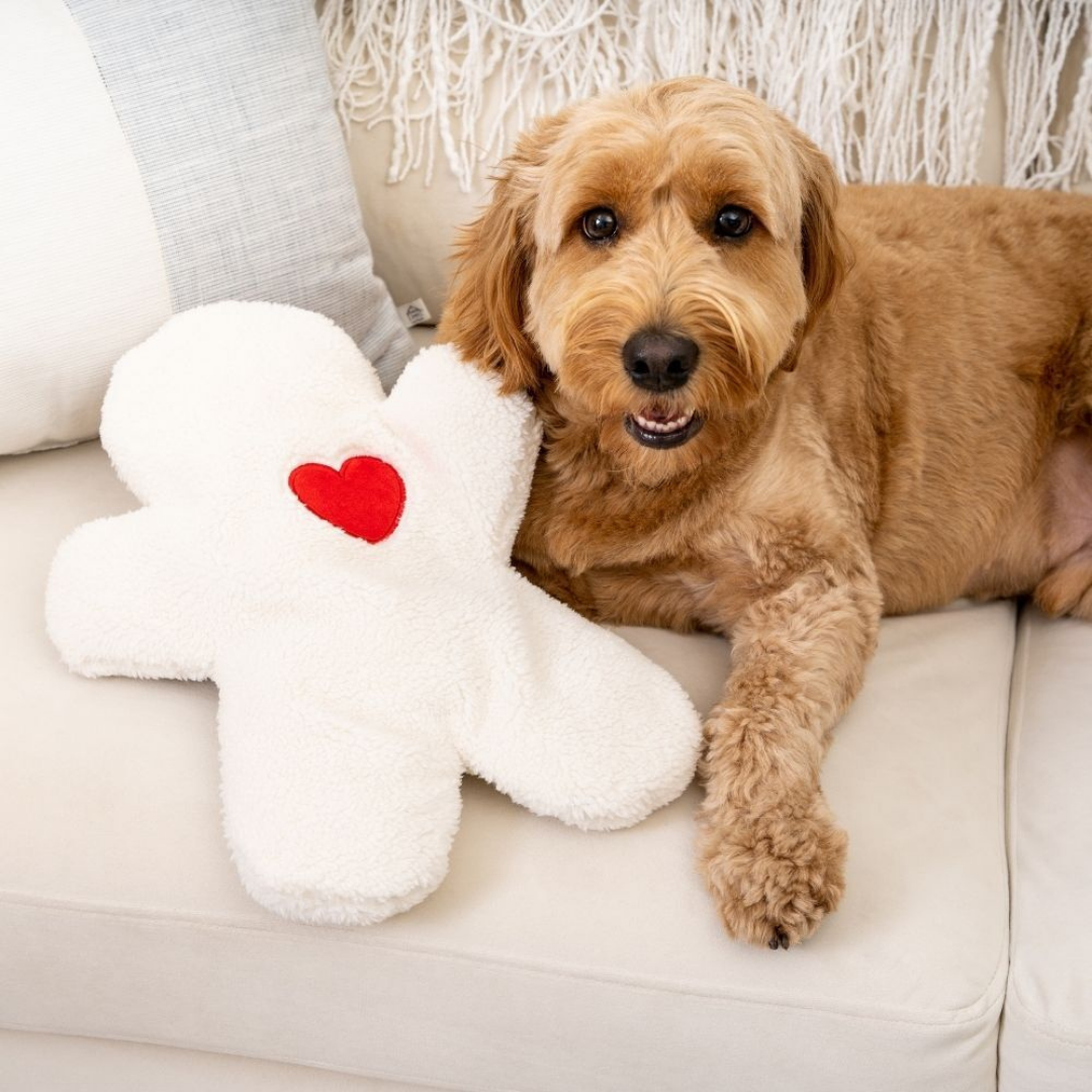The ''I miss you'' Cozy Companion