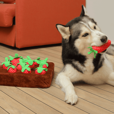 Strawberry Garden Snuffle Mat