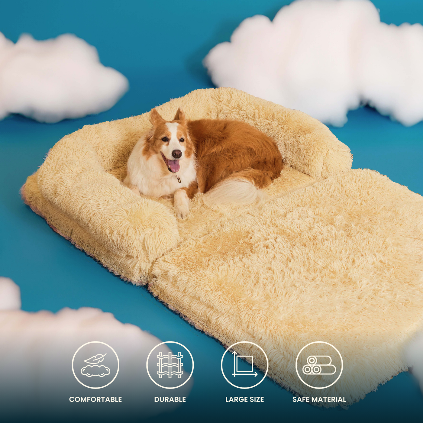 Human Companion Bed