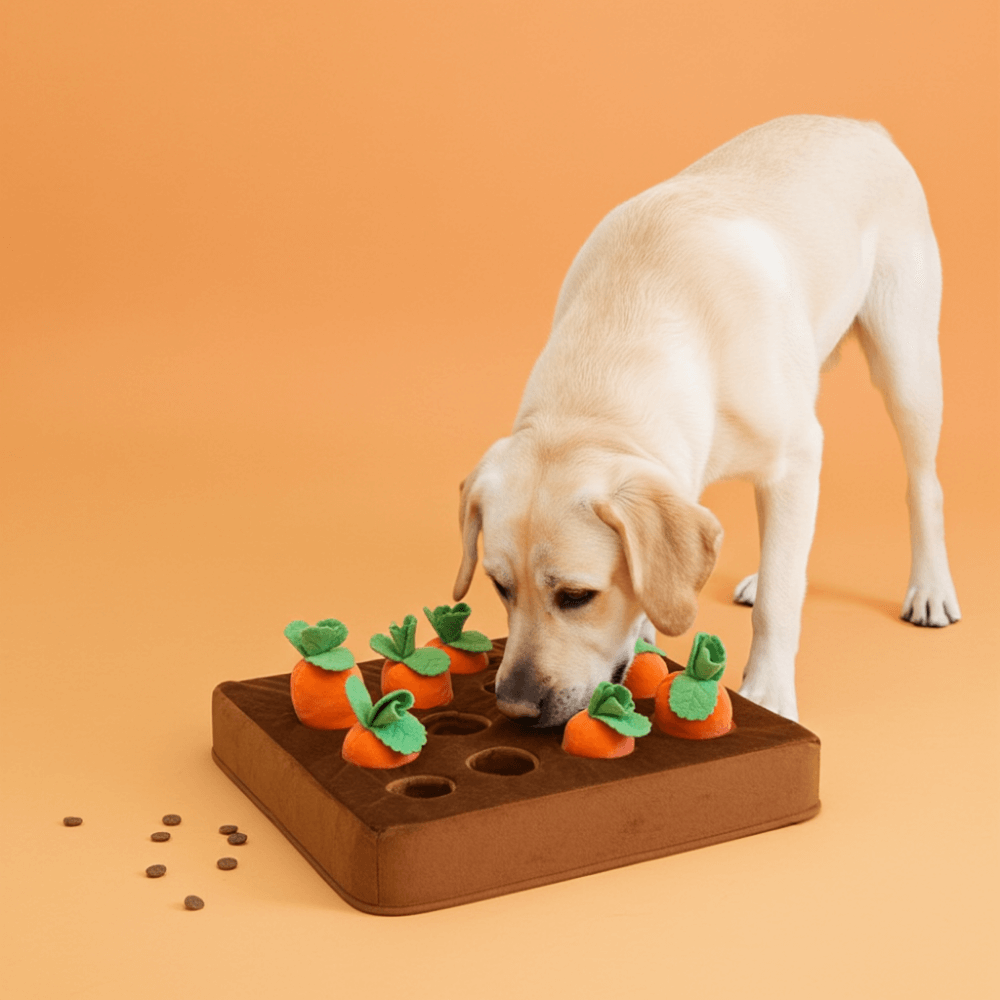 Carrot Field Snuffle Mat