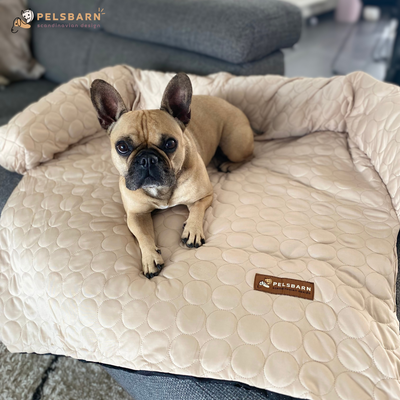 Pelsbarn Cooling Bed (4x more effective) + FREE Cooling Mat