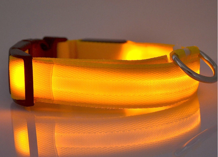 LED Light-Up Dog Safety Collar